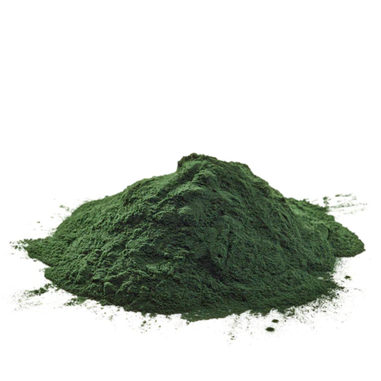 Wholesale Protein Supplement Cracked Cell Chlorella Powder Pyrenoidosa Organic Chlorella Powder