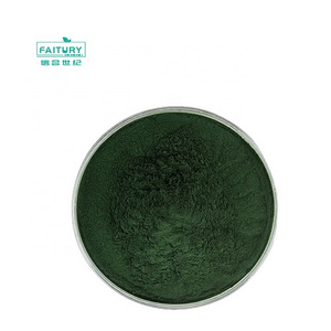 Wholesale Protein Supplement Cracked Cell Chlorella Powder Pyrenoidosa Organic Chlorella Powder