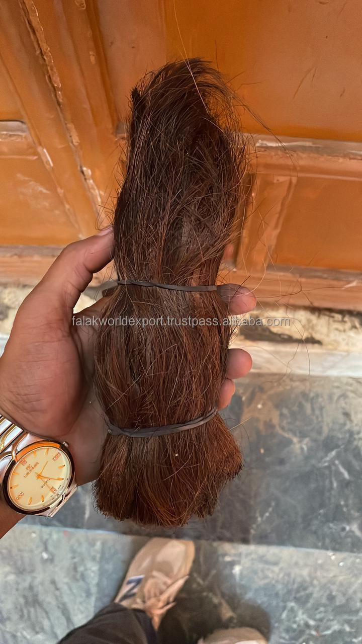 New look cow buffalo hair high quality and 100% natural caw real tail hair Use for makeup brush making From Falak World Export