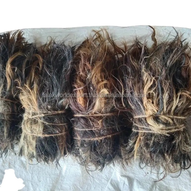 New look cow buffalo hair high quality and 100% natural caw real tail hair Use for makeup brush making From Falak World Export