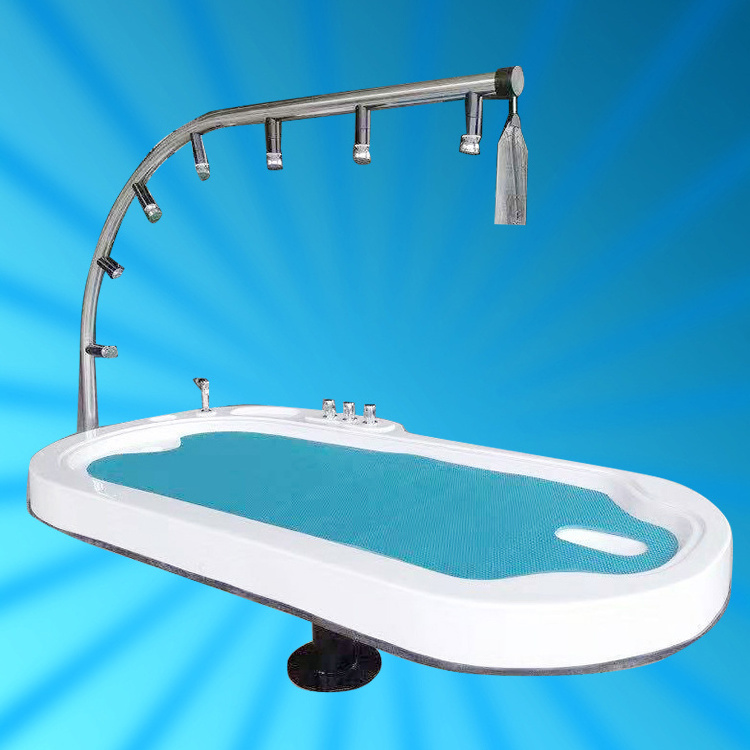 Functional Acrylic Water Jet Massage Bed Relief Trance Bad Mood Body Health Bed Spa Equipment Water Massage Bed