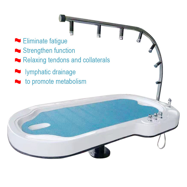 Functional Acrylic Water Jet Massage Bed Relief Trance Bad Mood Body Health Bed Spa Equipment Water Massage Bed