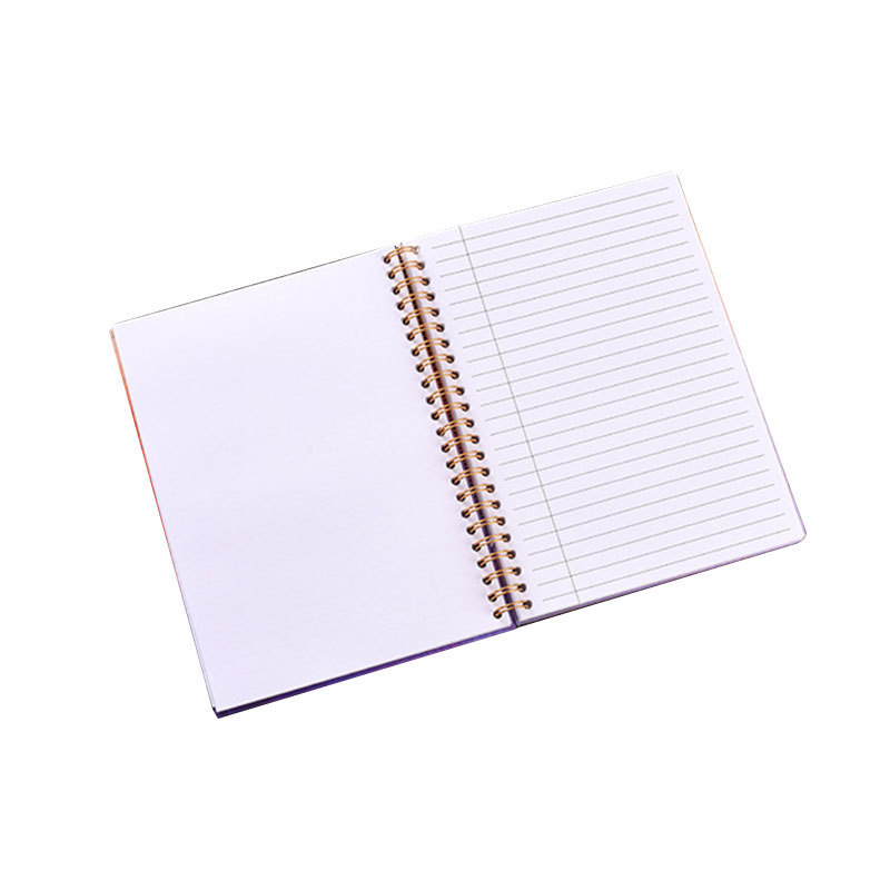 Manufacturer Customized A5 Coil Notebook Small Fresh College Student Notebook, Loose Leaf Ledger Customization Notepad