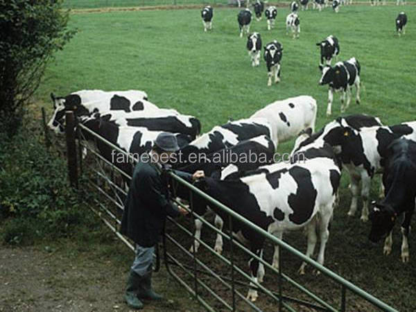 for rounding up cattle in the fields, penning calves, cattle gateways galvanized cattle fence panels