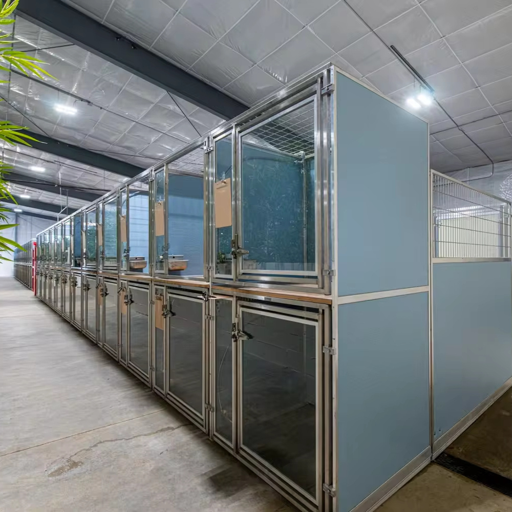 Double deck large dog kennel,Wholesale prefabricated high quality used 10ft stainless steel dog run kennel