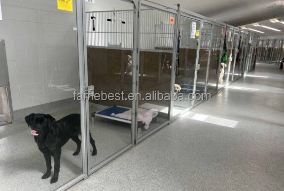 Modular  Pet Boarding Walk in Kennel  Runs Stainless Steel Dog Kennels with Glass Door and HDPE Panels