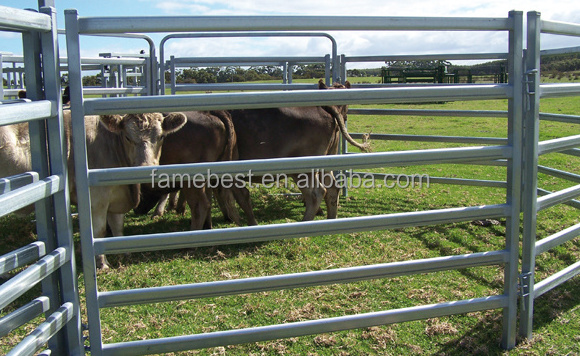 Australia Livestock Cattle Round Pen Panels Fencing Factory Australia Market 6rails Farm Cattle Panels/horse Yard Panels