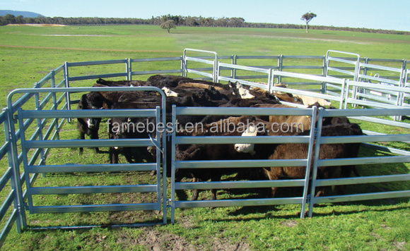 Farm Cattle Fence Cattle Pen Cattle Panels