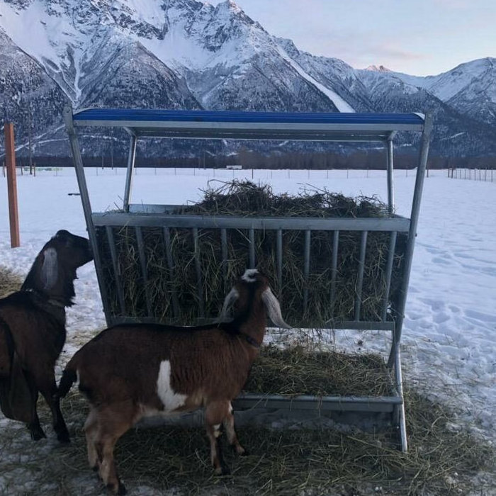 Hot DIP Gal Round Bale Feeder for Cattle Sheep,Top Hill V Hay Feeder Grain Feeder with roof