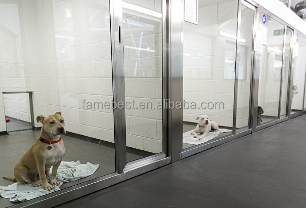 Modular  Pet Boarding Walk in Kennel  Runs Stainless Steel Dog Kennels with Glass Door and HDPE Panels