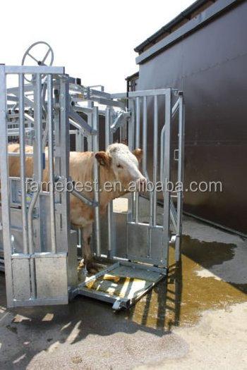 Livestock Equipment cattle crush headlock panels