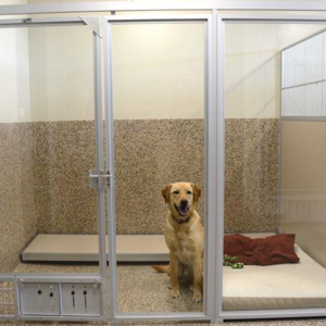 Modular  Pet Boarding Walk in Kennel  Runs Stainless Steel Dog Kennels with Glass Door and HDPE Panels