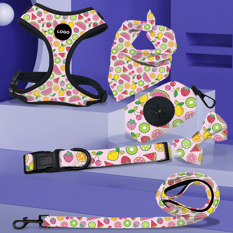 Famicheer High Quality Waterproof Pet Dog Harness Set Manufacturers Dog Harness for Small Dogs