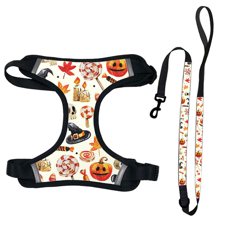 Bag for dog pet carriers pet harness luxury dog leash set Dog chest strap vest Pet Outdoor Products