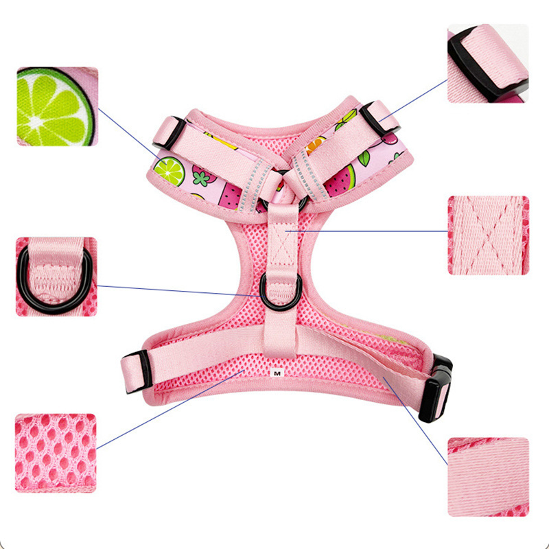 Famicheer High Quality Waterproof Pet Dog Harness Set Manufacturers Dog Harness for Small Dogs