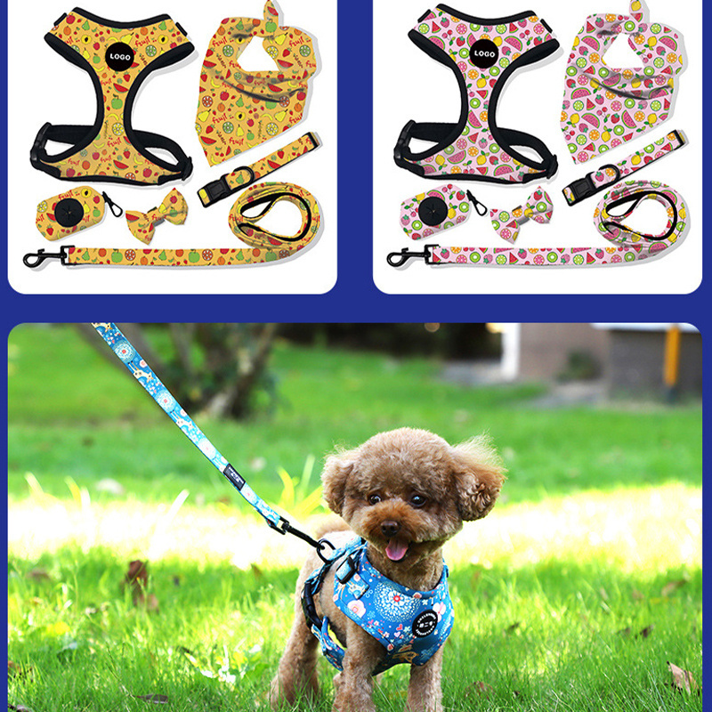 Famicheer High Quality Waterproof Pet Dog Harness Set Manufacturers Dog Harness for Small Dogs