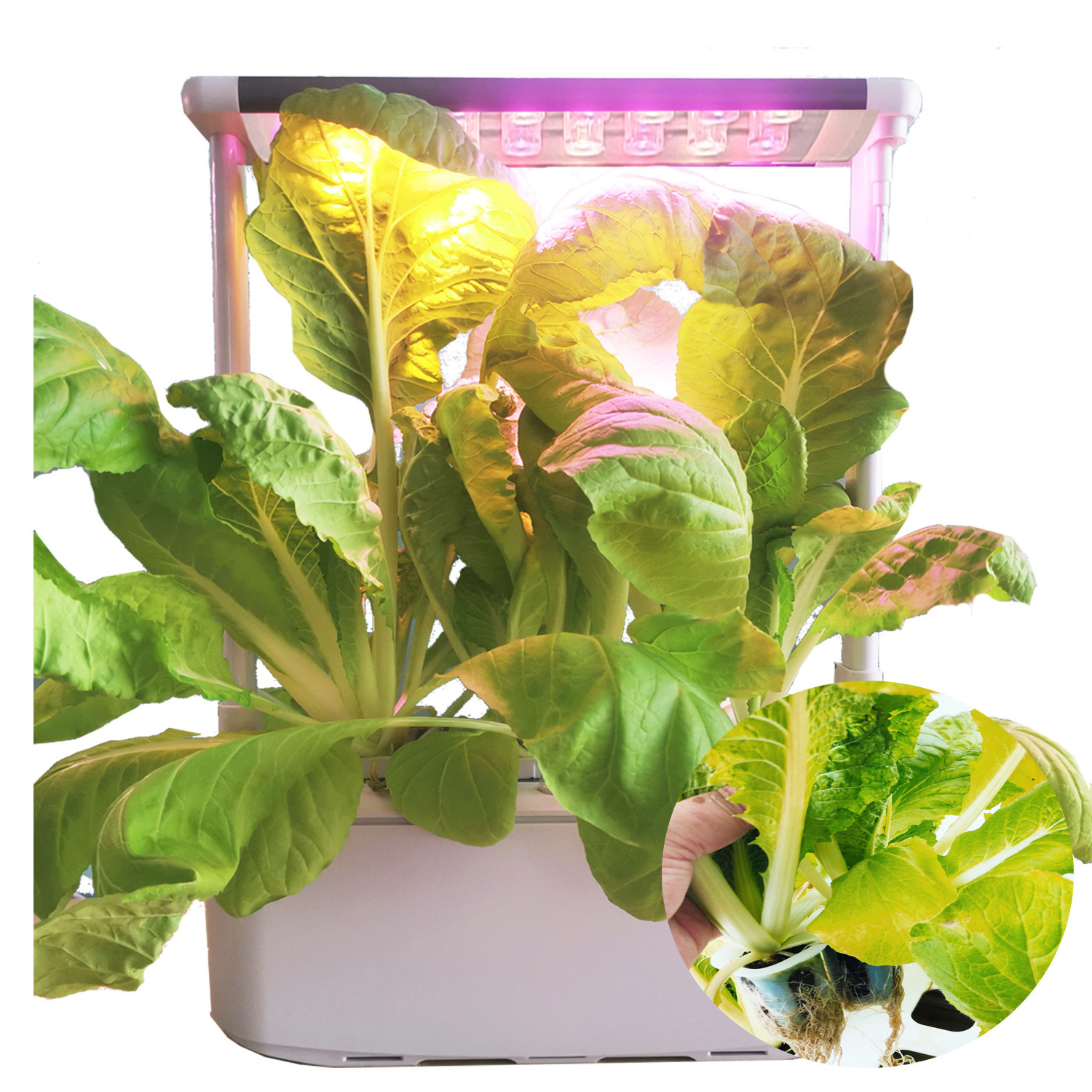 Minigarden smart soil -automatic indoor hydroponic indoor gardening pod kit