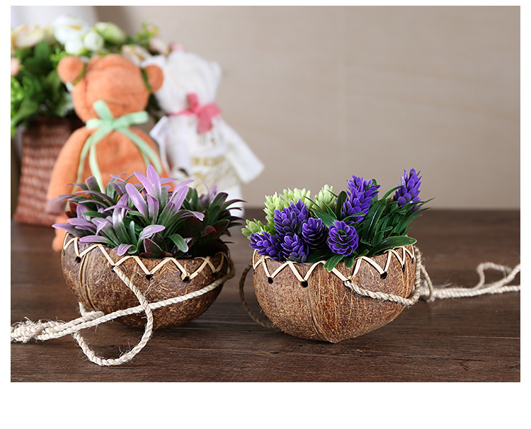 Wholesale natural raw coconut shell for Hanging Basket Flower Pot Ornament Plants Flowerpot home decoration natural crafts