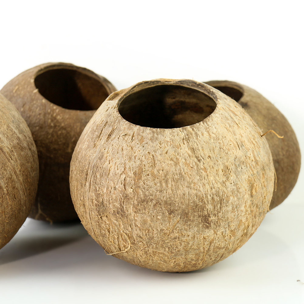 Wholesale natural raw coconut shell for Hanging Basket Flower Pot Ornament Plants Flowerpot home decoration natural crafts