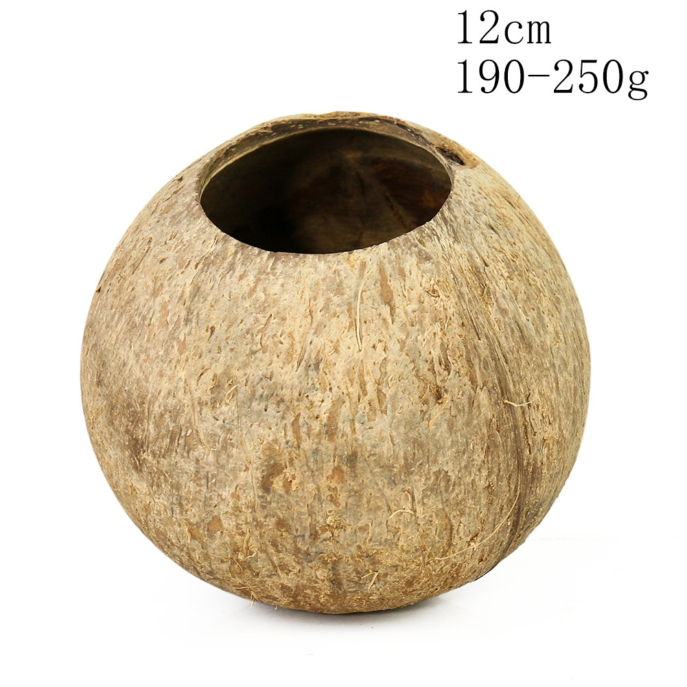 Wholesale natural raw coconut shell for Hanging Basket Flower Pot Ornament Plants Flowerpot home decoration natural crafts