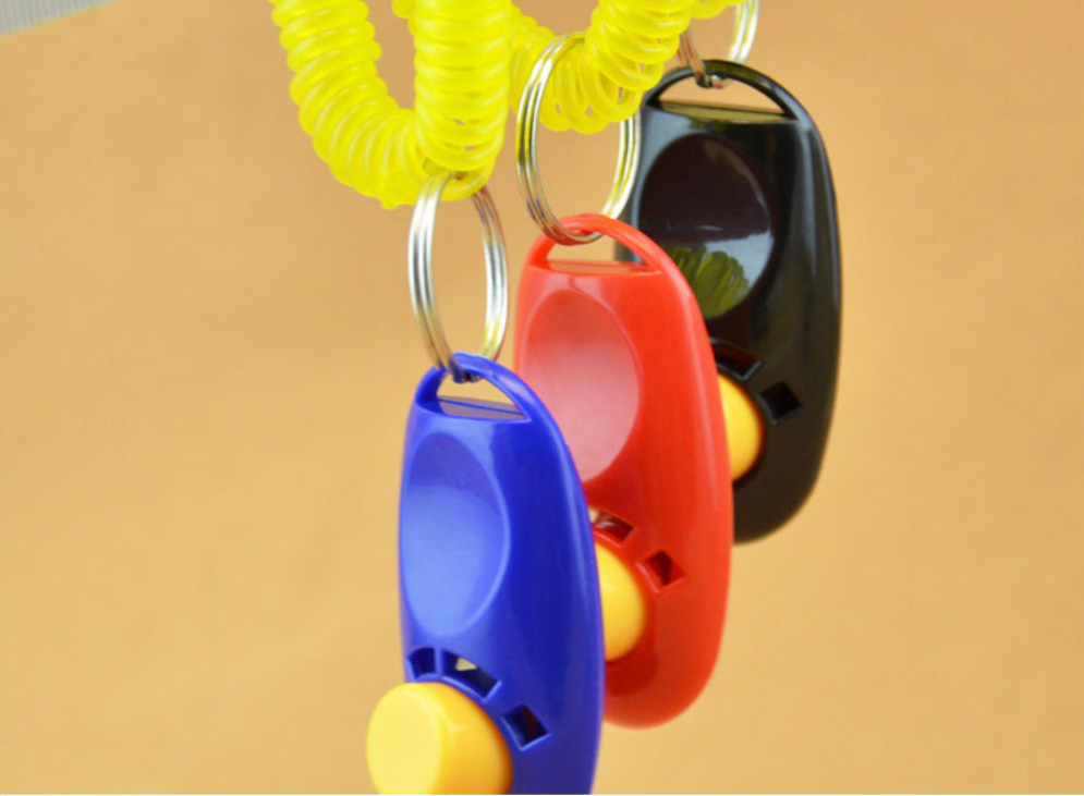 Manufacturer wholesale Downtown Pet Supply Big Button Dog Cat Training Clicker, Clickers with Wrist Bands