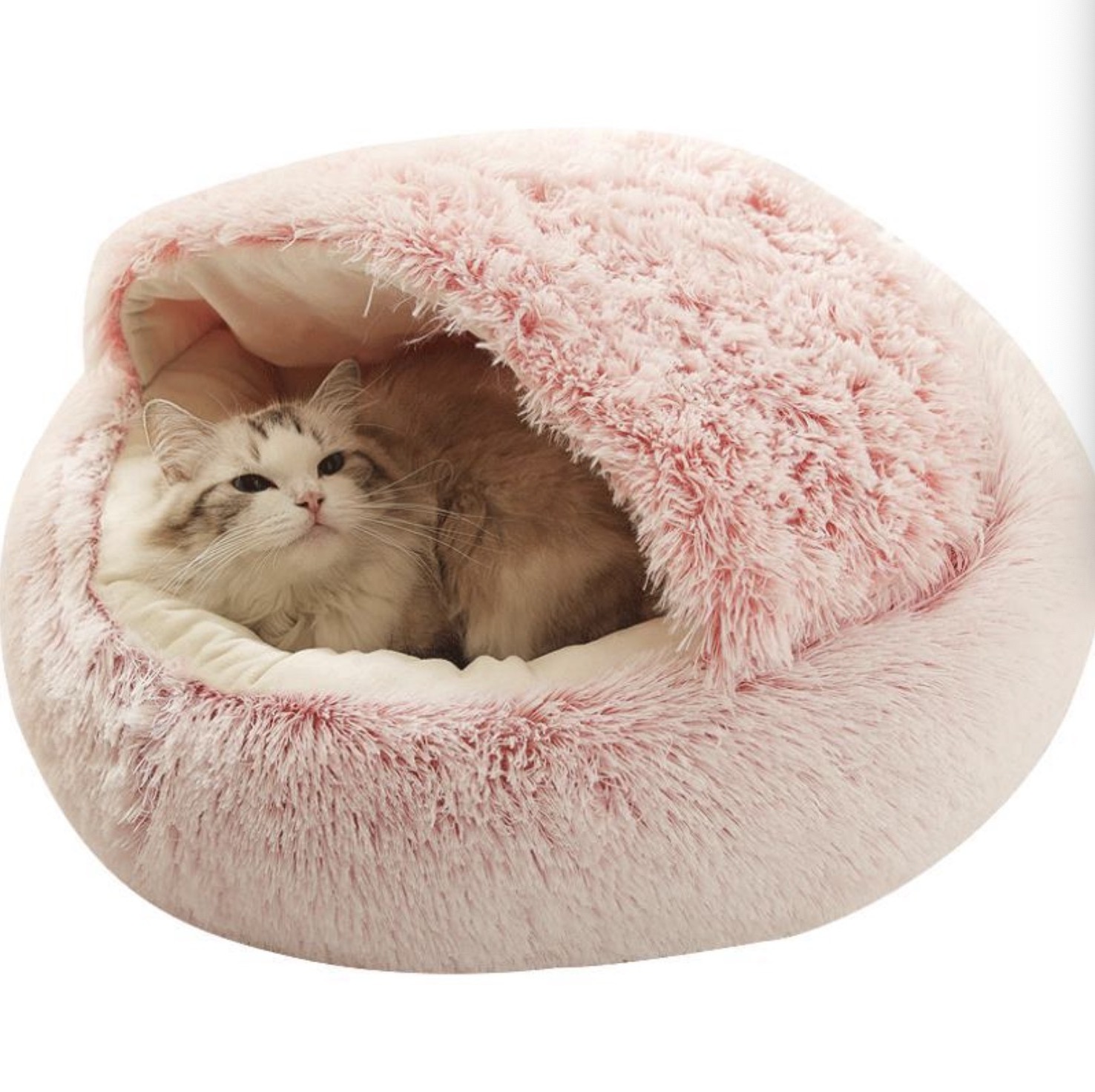 Best Dog Bed Calming Dog All Year Use Cat House Canopy Bed Pet House Raised Miniature Dog Luxury Pet Beds & Accessories