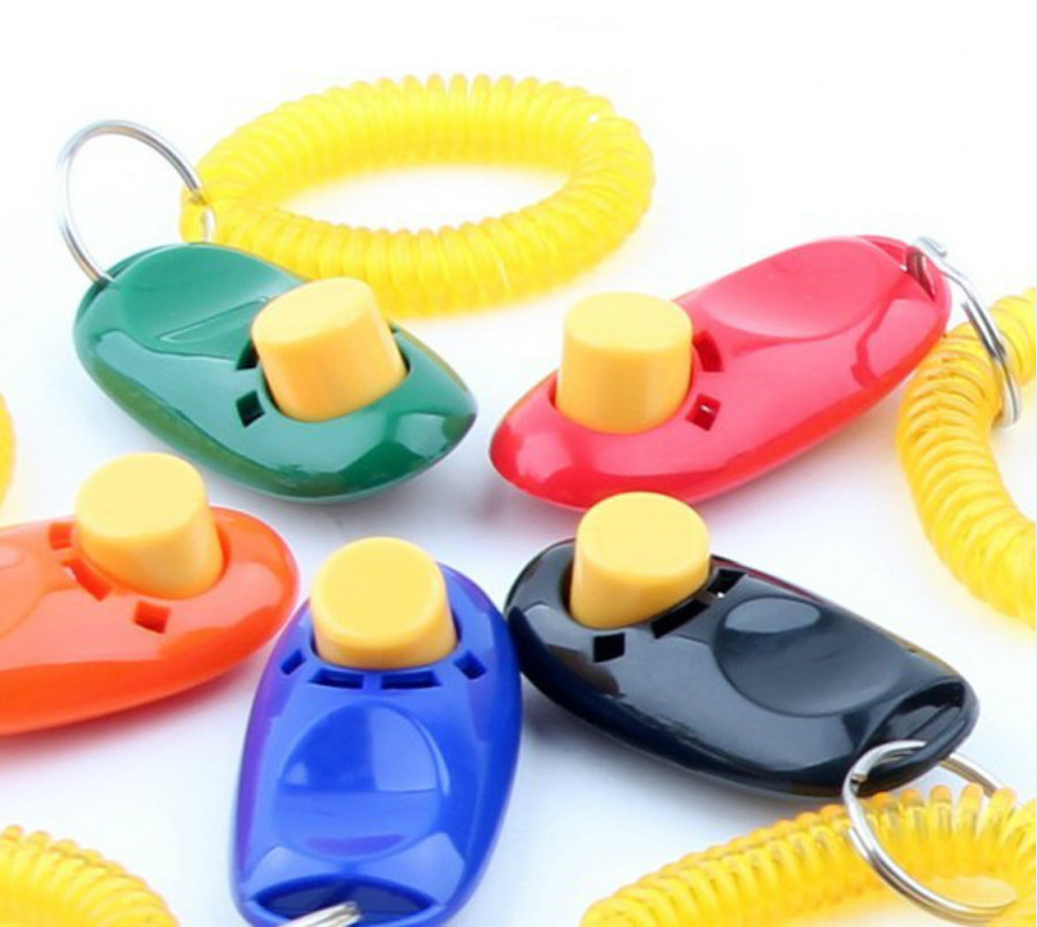 Manufacturer wholesale Downtown Pet Supply Big Button Dog Cat Training Clicker, Clickers with Wrist Bands