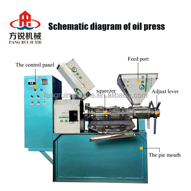 Commercial cold and hot press soybean, peanut, coconut, sunflower oil press oil press 6YL-80