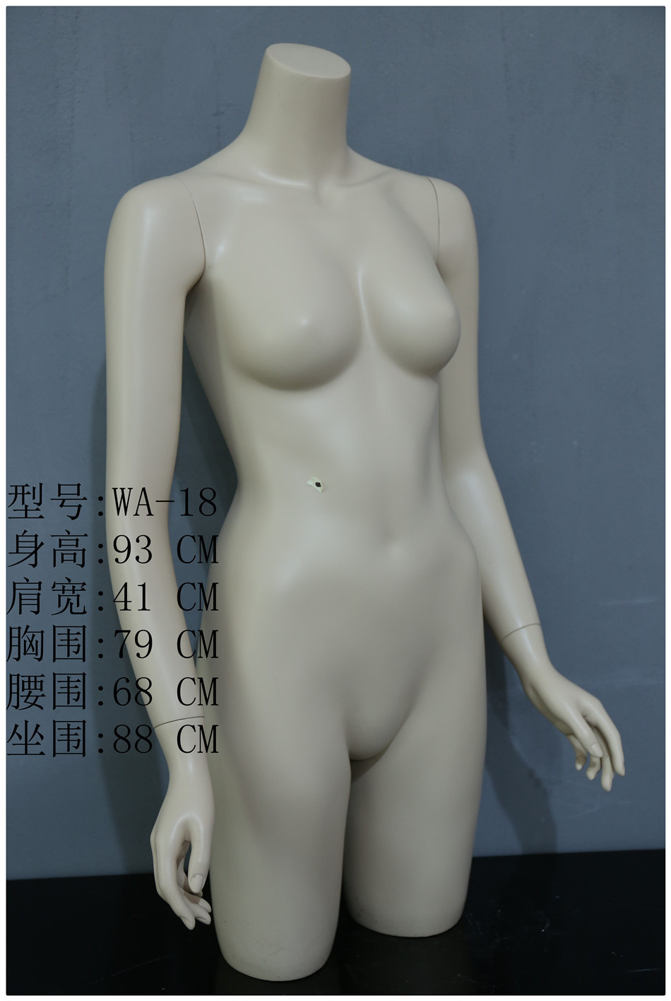 Show the female body, the upper body of the model, the curvy upper body of the clothing display