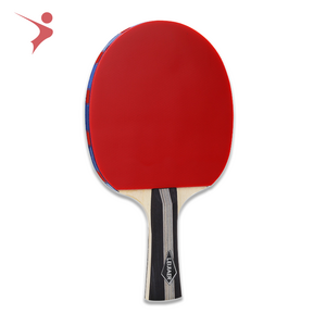 Customized 5 star table tennis racket, accept package /table tennis racket net suit table tennis paddle  ping pong balls