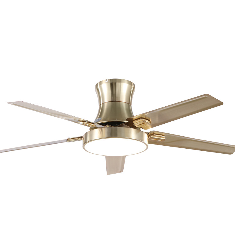 220 volts copper motor decorative lamp fan 5 iron blades remote control AC ceiling fan with light