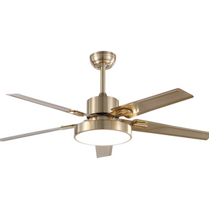 220 volts copper motor decorative lamp fan 5 iron blades remote control AC ceiling fan with light