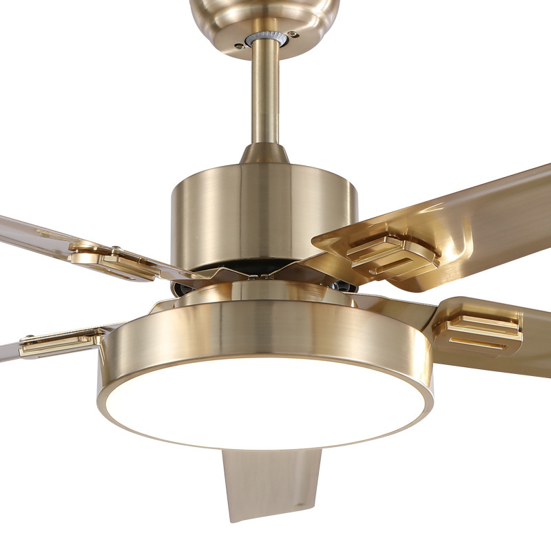 220 volts copper motor decorative lamp fan 5 iron blades remote control AC ceiling fan with light