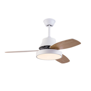 Nordic style Ceiling Fan Light Decorative Ceiling Fan with Light Western House Matte White LED ceiling fan with light