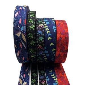 Hot sale colorful polyester webbing tape 1 inch nylon printed seatbelt webbing for dog collar