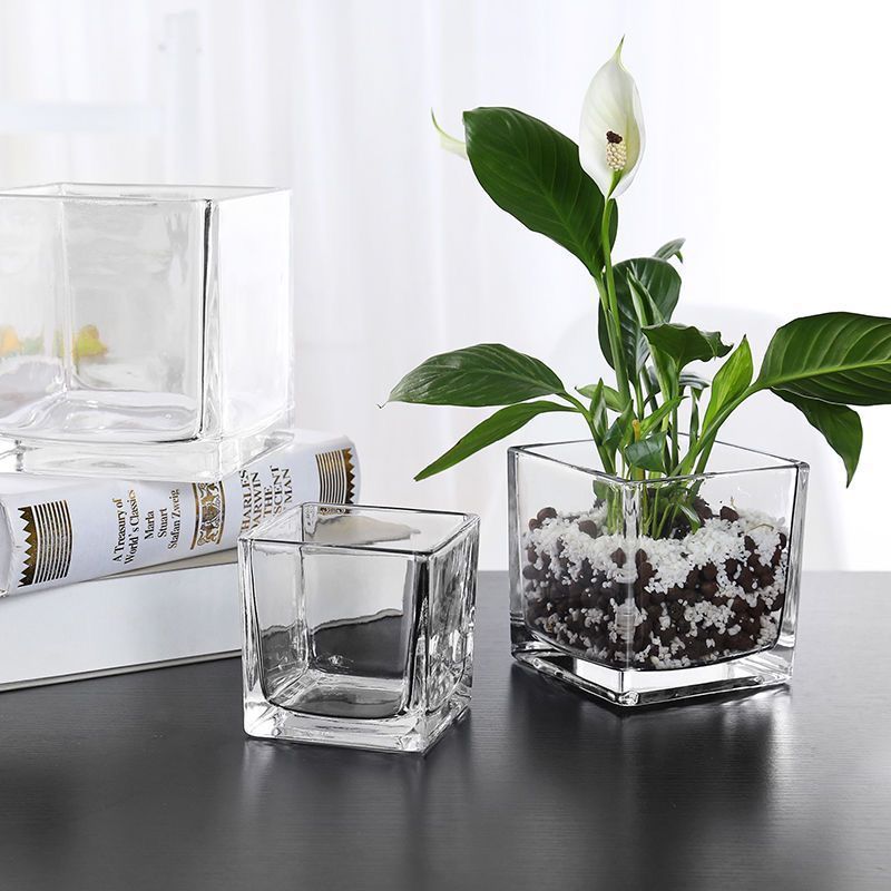 In Stock Simple Decorative Table Cube Plant Flower Vases Clear Square Heavy Flower Glass Vase