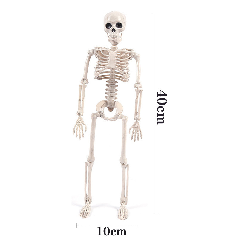 Halloween Skeletons-Full Body movable joints Skeletons for Halloween Decoration