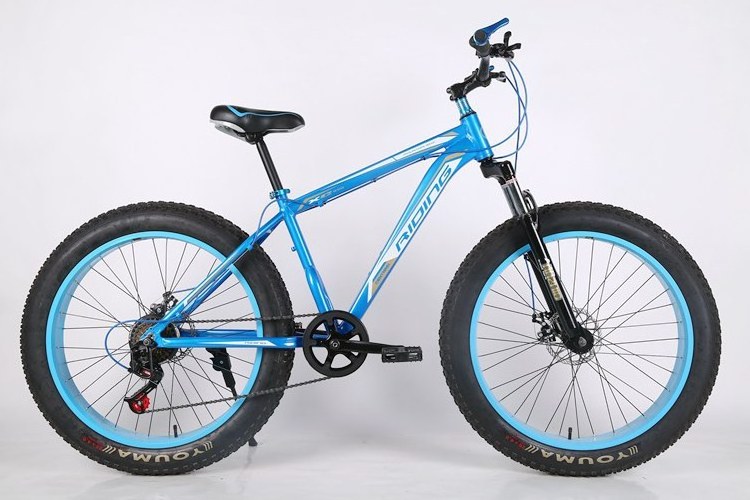 Fantas-bike Mountain fat tire bike variable speed double disc brake damping 26inch cheap adult bicycle