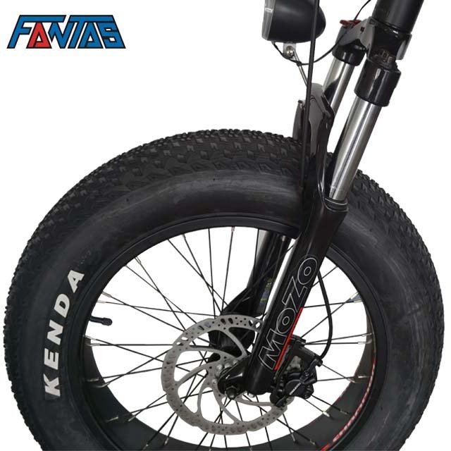 Fantas-Bike Chopper  48V500W 13Ah fat tire electric bike