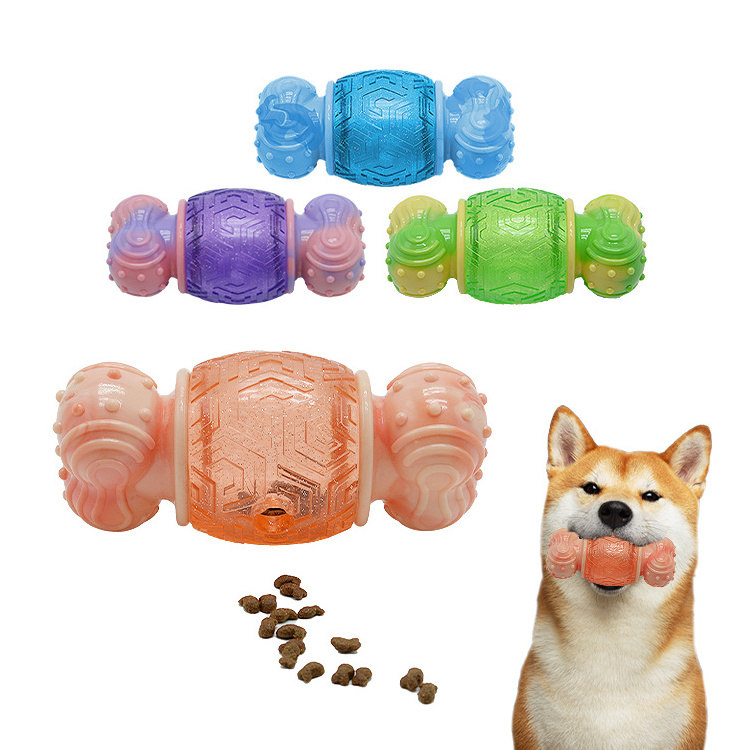 Famipet Manufacturer Custom New Design Tough Treat Dispensing TPR Bone Indestructable Dog Toy Pet Chew Toy