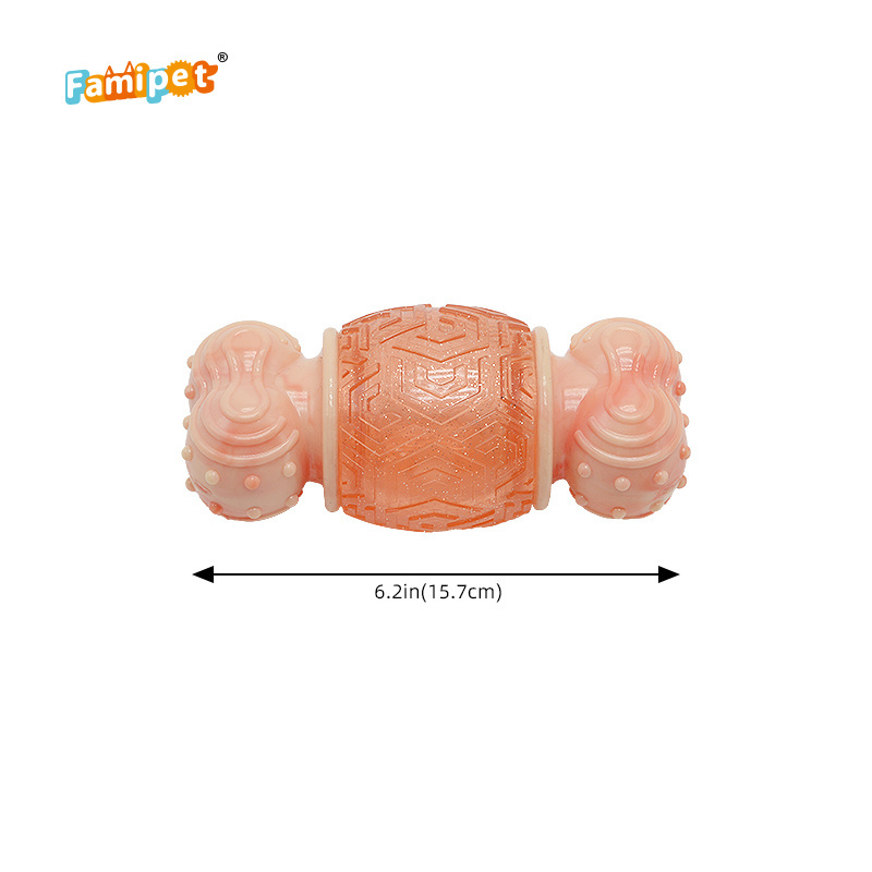 Famipet Manufacturer Custom New Design Tough Treat Dispensing TPR Bone Indestructable Dog Toy Pet Chew Toy