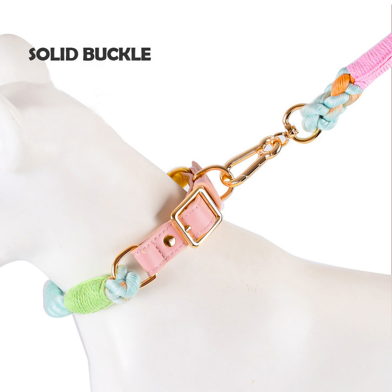 Colorful Leather Rainbow Rope Dog Leash Dog Collar With Light Gold Buckle For Medium And Large Dog