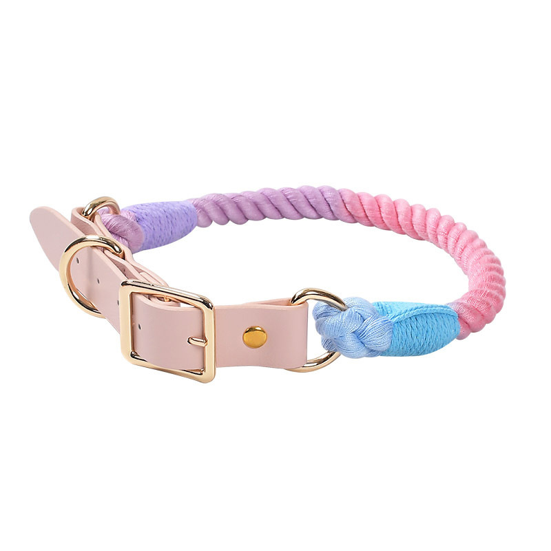 Colorful Leather Rainbow Rope Dog Leash Dog Collar With Light Gold Buckle For Medium And Large Dog