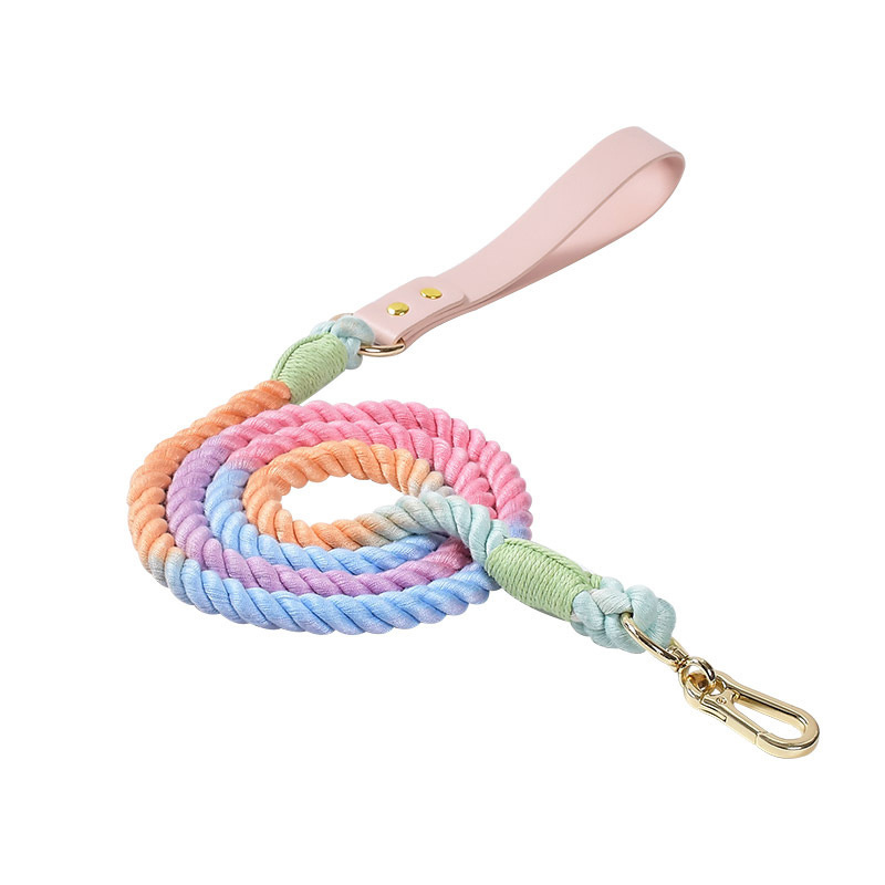 Colorful Leather Rainbow Rope Dog Leash Dog Collar With Light Gold Buckle For Medium And Large Dog