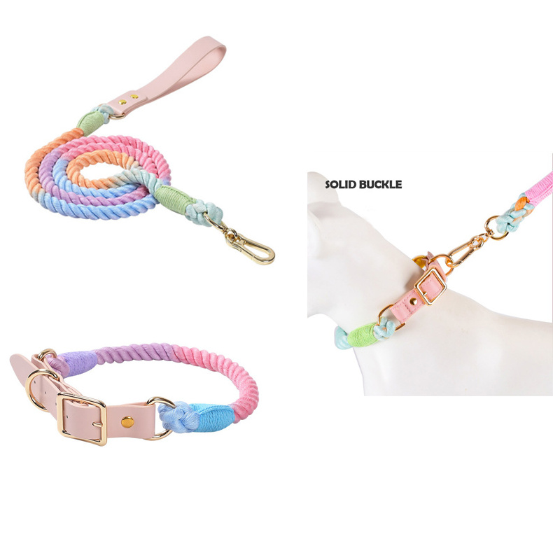 Colorful Leather Rainbow Rope Dog Leash Dog Collar With Light Gold Buckle For Medium And Large Dog