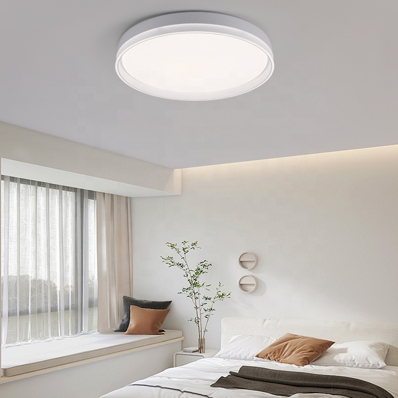 Nordic Minimalist Ceiling Lamps Acrylic Fanxi Wall Switch LED 100w Iron Hot Sell Modern Round Flat Surface Mount Homeuse Indoor