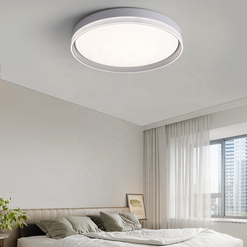 Nordic Minimalist Ceiling Lamps Acrylic Fanxi Wall Switch LED 100w Iron Hot Sell Modern Round Flat Surface Mount Homeuse Indoor