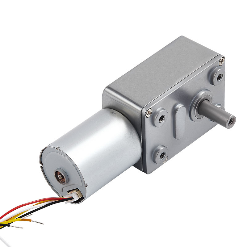 Faradyi Customize Dual Output Metal Gear Small Motor N20 6V 40Rpm 10Kg/Cm Dc Worm Gear Motor : 4632Z-31Zyl24135-90