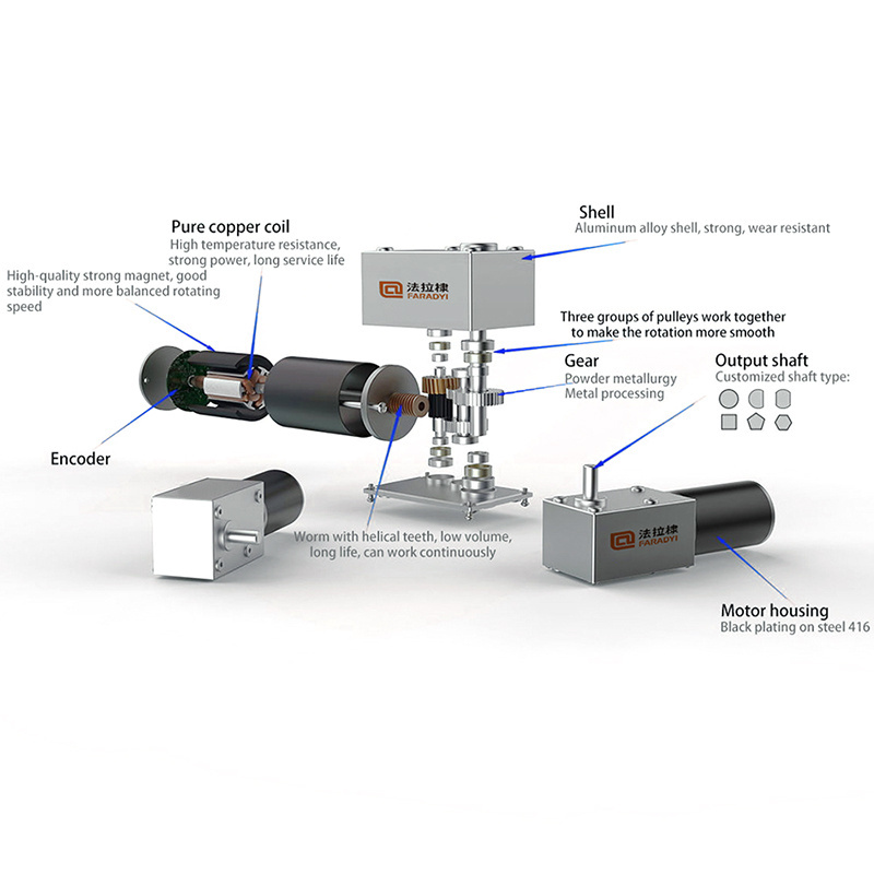 Faradyi Customize Dual Output Metal Gear Small Motor N20 6V 40Rpm 10Kg/Cm Dc Worm Gear Motor : 4632Z-31Zyl24135-90