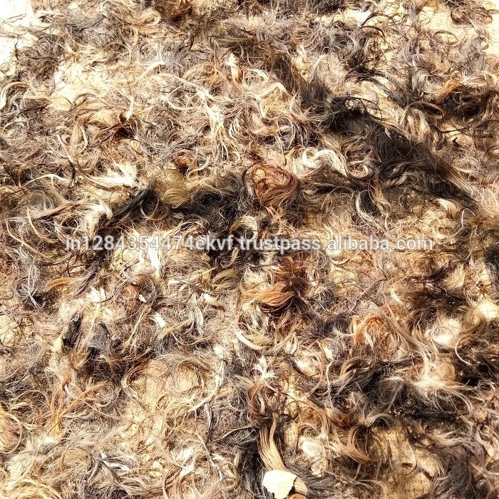 buffalo multi color tail hair